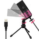 Metal USB Condenser Recording Microphone
